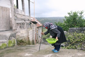 شیوع بالای «سالمند آزاری»/ هشدار؛ سوءبرداشت‌ها از «لوس شدن سالمندان»
