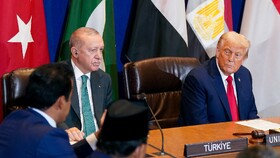 میدل‌ایست‌آی: سران منطقه از تغییر مفاد طرح ترامپ برای غزه شوکه شدند