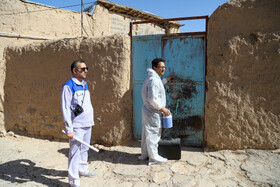 واکسیناسیون دام در روستاهای خراسان شمالی