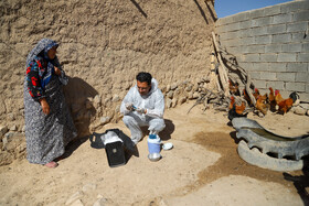 واکسیناسیون دام در روستاهای خراسان شمالی