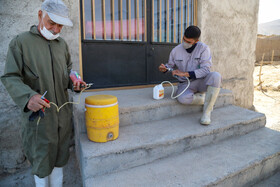 واکسیناسیون دام در روستاهای خراسان شمالی
