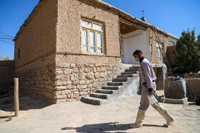 واکسیناسیون دام در روستاهای خراسان شمالی