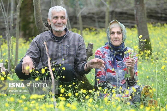 توجه به سالمندان، وظیفه انسانی و اجتماعی همه دستگاه‌هاست