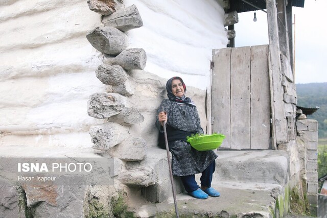 آمارهای جدید از سالمندی؛ ایران از مرز ۱۴ درصد جمعیت سالمند عبور کرد/ وارد دوره سالمندی شدیم