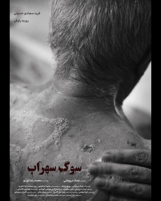 این چند خبر را بخوانید