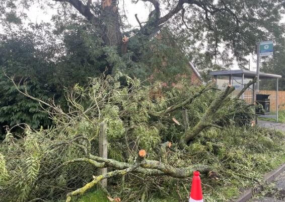 عکس تزئینی است طوفان شدید در «آریزونا»ی آمریکا با خسارات گسترده