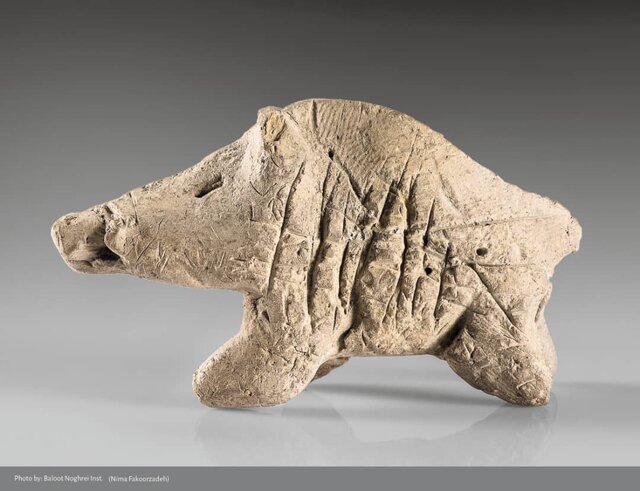 نمایش دندان ۴۰ هزار ساله، سرِ سرباز هخامنشی، مومیایی مرد نمکی و جامهای طلایی