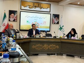 سند ملی حقوق کودک؛ از غفلت در اجرایی‌سازی تا ضرورت فرهنگ‌سازی