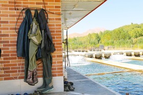 بازدید خبرنگاران از بزرگترین مجتمع پرورش و بسته‌بندی ماهی نهاوند