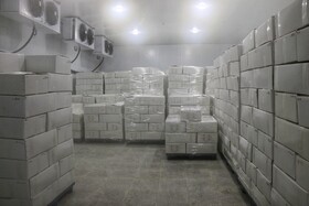 بازدید خبرنگاران از بزرگترین مجتمع پرورش و بسته‌بندی ماهی نهاوند