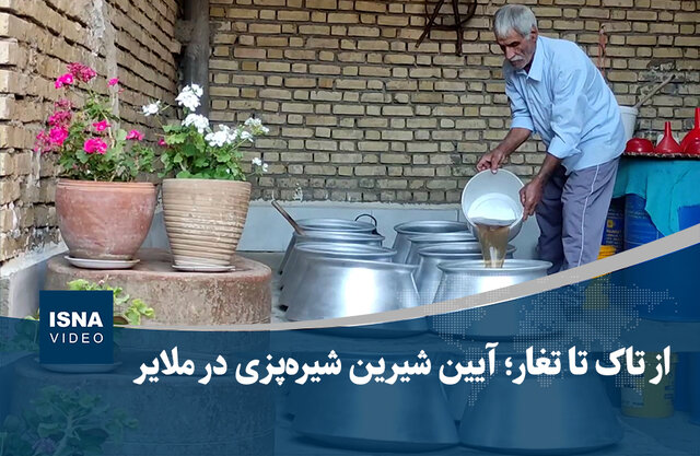 ویدیو/ از تاک تا تغار؛ آیین شیرین شیره‌پزی در ملایر