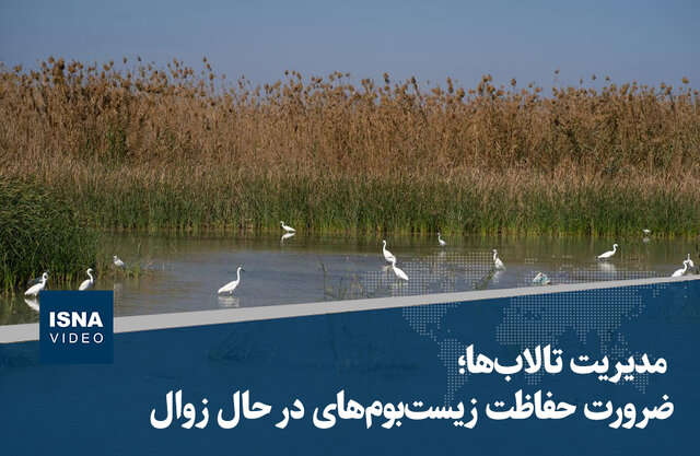 ویدیو/ مدیریت تالابها؛ ضرورت حفاظت زیستبومهای در حال زوال ویدیو/ مدیریت تالابها؛ ضرورت حفاظت زیستبومهای در حال زوال