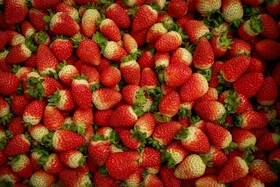 تولید برای محرومیت زدایی؛ گلخانه توتفرنگی چناران