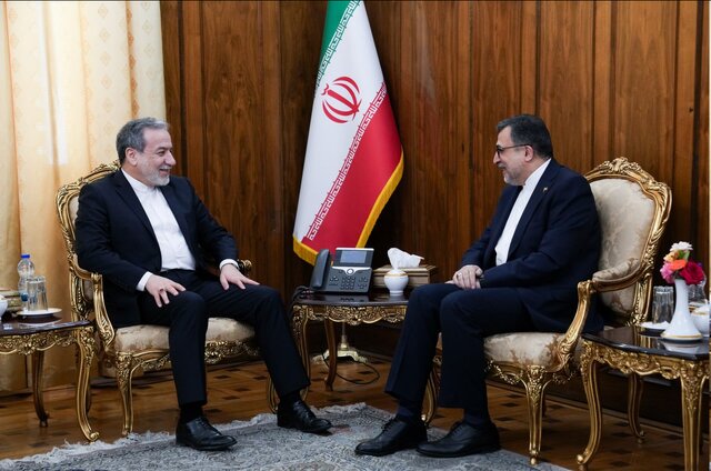 تاکید عراقچی بر اهمیت نقش سازمان همکاری اسلامی در تحکیم همکاری در قبال موضوع فلسطین
