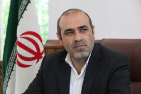 ثبت بیش‌از ۵۶ هزار درخواست صدور مجوز کسب‌وکار در فارس/ اتاق اصناف در صدر درخواست‌ها