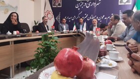 «درجزین» باغ‌شهری با ۶۵ درصد انارستان/ ۱۲ مدال‌آور و یک سالن ورزشی قدیمی!