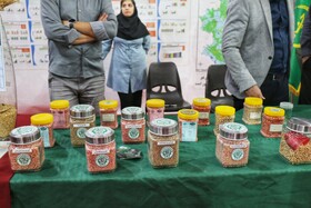 نخستین نمایشگاه تخصصی آرد و نان همدان افتتاح شد