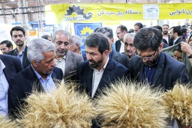 بازدید دکتر ملانوری شمس استاندار همدان از نخستین نمایشگاه تخصصی آرد و نان همدان