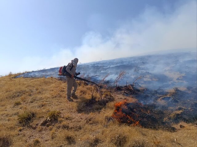 آتش‌سوزی در منطقه حفاظت شده «خانگرمز»‌/ از بین رفتن گونه‌های جانوری رده حشرات