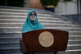 مهاجرانی در گفت‌وگو با المیادین: تهران همواره در کنار مردم فلسطین بوده است