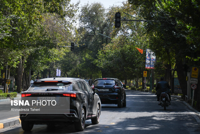 جشنوارهای در «سرزمین هیچکس» !