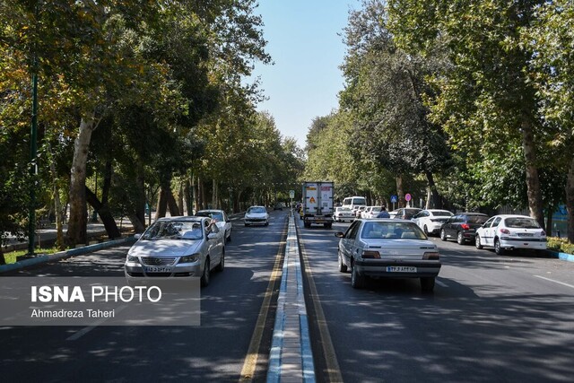 جشنوارهای در «سرزمین هیچکس» !