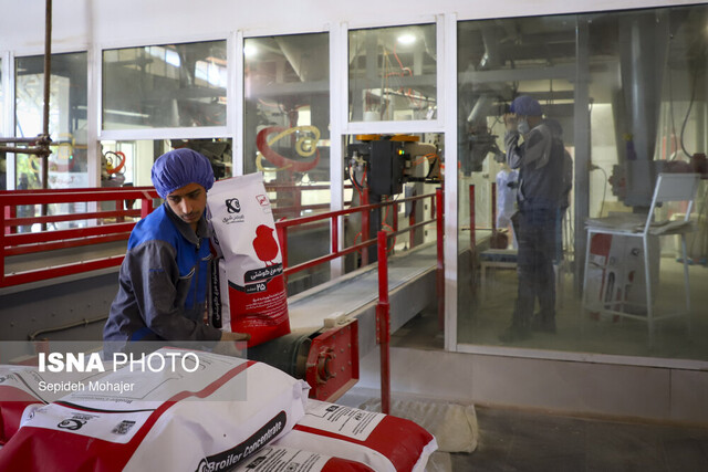 خراسان رضوی؛ قطب مغفول خوراک دام در سایه نوسان ارز و انحصار نهادهها