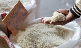 استقبال بازار آسیا از برنج ارزان‌تر