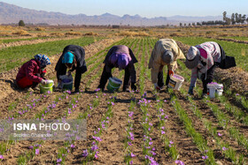 ظرفیت‌های معدنی و کشاورزی خراسان جنوبی محور توسعه صادرات به افغانستان قرار گیرد