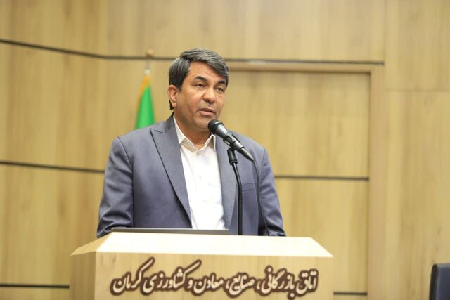 تلاش برای تقویت دیپلماسی اقتصادی استان/ فرصتهای بسیار خوب کرمان در صنایع پاییندستی