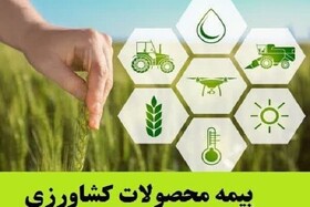بیمه محصولات زارعی و دامی ضرورتی انکارناپذیر در توسعه بخش کشاورزی اردبیل