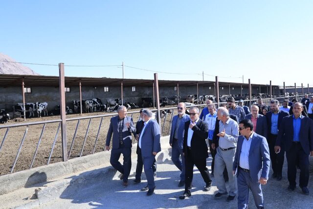 تأمین نهادههای دامی برای رفع دغدغه دامداران با جدیت در حال پیگیری است تأمین نهادههای دامی برای رفع دغدغه دامداران با جدیت در حال پیگیری است