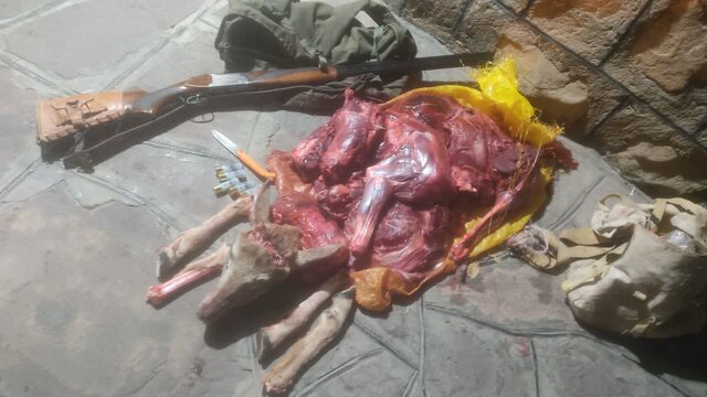 بازداشت ۳ شکارچی در پارک ملی صیدوا / کشف لاشه قوچ وحشی از شکارچیان