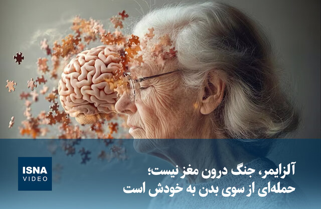 ویدیو/ آلزایمر، جنگ درون مغز نیست؛ حملهای از سوی بدن به خودش است ویدیو/ آلزایمر، جنگ درون مغز نیست؛ حملهای از سوی بدن به خودش است