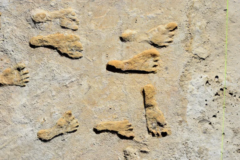 کاشفان واقعی آمریکا چه کسانی بودند؟ /کریستوف کلمب دیر رسید