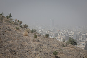 مشهد در محاصره گرد و غبار