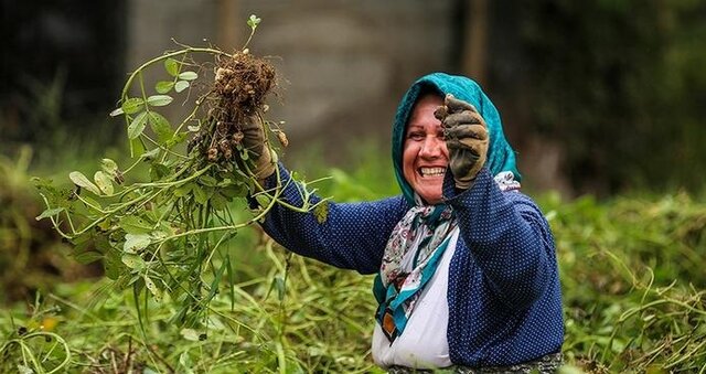 بانوان روستایی سرمایه‌های خاموش توسعه اجتماعی هستند