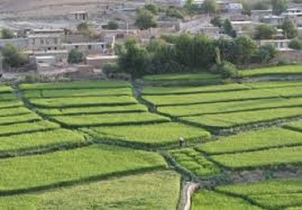 «سرتنگ»؛ روستایی واجد جغرافیای اشتغال، اقتصاد کشاورزی و جاذبه گردشگری