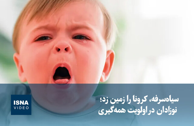 ویدیو/ سیاهسرفه، کرونا را زمین زد؛ نوزادان در اولویت همهگیری ویدیو/ سیاهسرفه، کرونا را زمین زد؛ نوزادان در اولویت همهگیری