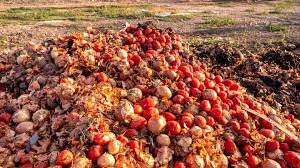 ۳۰ درصد محصولات کشاورزی کشور، ضایع میشود