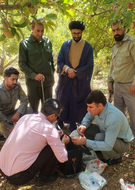 نجات خرس قهوهای گرفتارشده در تله در منطقه حفاظتشده دنا