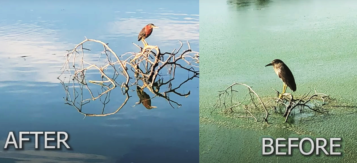 بازار جهانی ژنراتورهای نانوحباب تا سال ۲۰۳۴ نزدیک به پنج برابر میشود