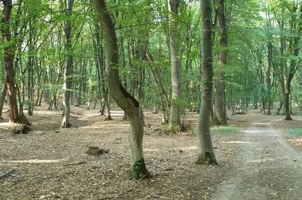 ۱۰ مکان واقعی که قانون جاذبه زمین در آنها کار نمیکند!