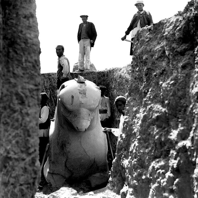 تصویری از لحظه کشف شیردال تخت جمشید