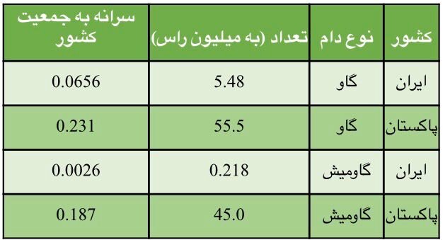 چرا ایران باید از پاکستان دام بخرد نه گوشت؟