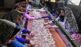 برگزاری «روز جهانی زن روستایی» در زاهدان