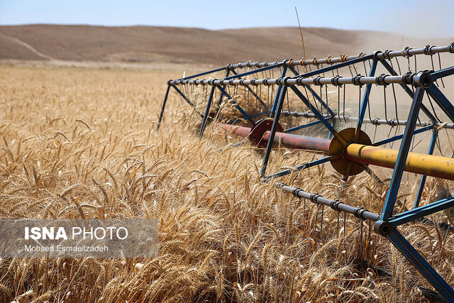 عکس تزئینی است رئیس کانون خبرگان کشاورزی زنجان: کشاورزی سنتی پاسخگوی نیازهای جامعه نیست