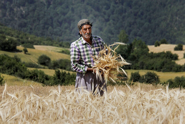 بیش‌از ۴۷۰ هزار بهره‌بردار در بخش کشاورزی فارس فعال هستند/ ضرورت بازآرایی ساختار نظام صنفی
