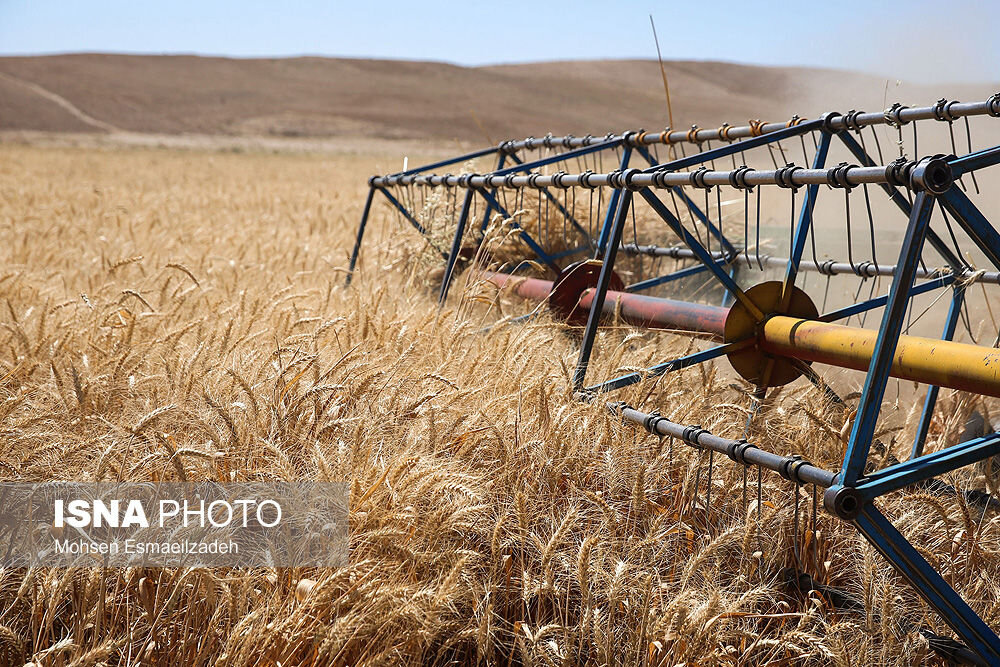 کشاورزی حفاظتی، راهی برای مقابله با تغییرات اقلیمی و حفظ امنیت غذایی در زنجان