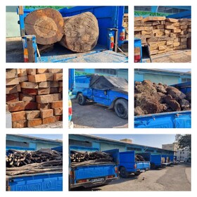 قاچاقچیان چوب و خاک پیت در دام مأموران یگان حفاظت منابع طبیعی اردبیل